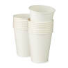 Disposable Cups, ecological & inexpensive. 1.000/2.000 units