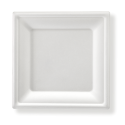 Assiette jetable écologique blanche