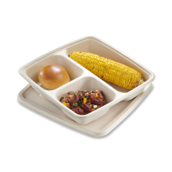 Food container with lid, made from renewal sugar cane pulp