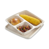 Food container with lid, made from renewal sugar cane pulp