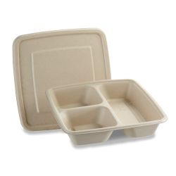 Food container with lid, made from renewal sugar cane pulp